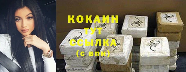 соль ск Алзамай