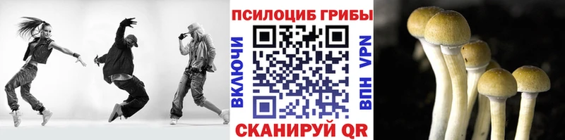 купить наркотик  Яблоновский  Псилоцибиновые грибы мицелий 
